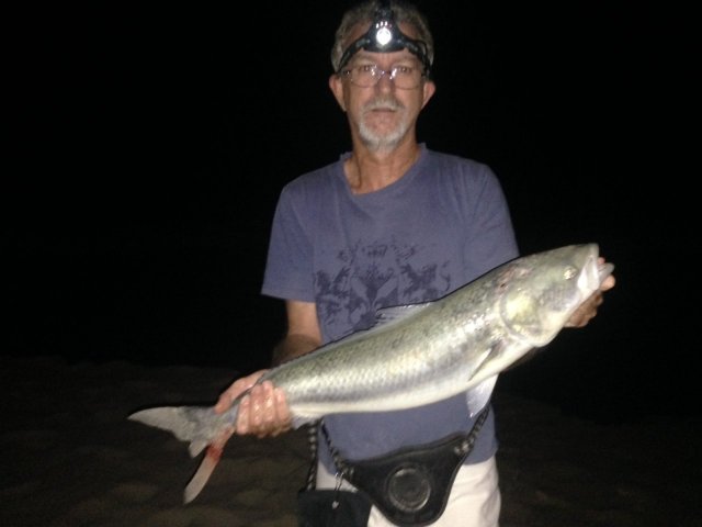 Quinns beach Salmon